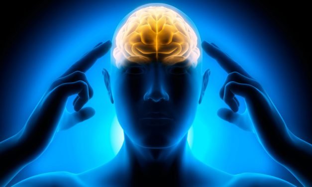 I Jornadas de Budismo y Ciencia- la mente I