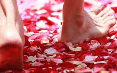 La preparación para la muerte