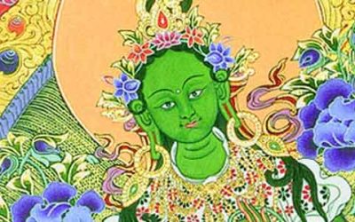 TARA, la energía protectora