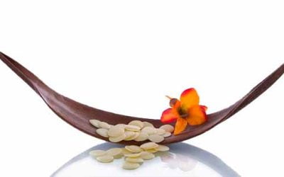 TÉCNICAS COMPLEMENTARIAS DE MASAJE TIBETANO