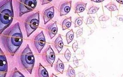 El enigma de la reencarnación