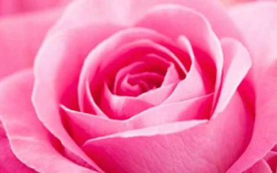 La Mente del Despertar: el poder del Amor