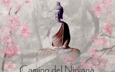 PROGRAMA ANUAL DE ESTUDIOS BUDISTAS: CAMINO DEL NIRVANA