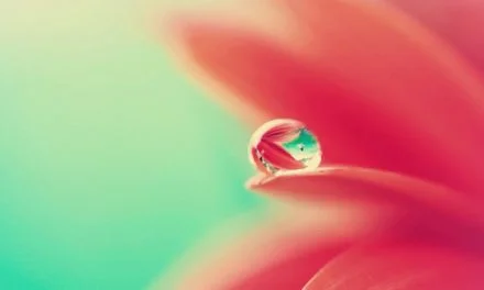 El viaje hacia la paz